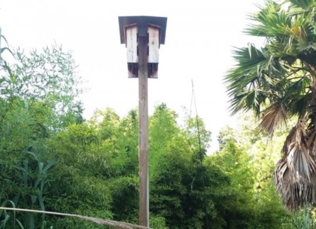 QuiroCaixa, ratpenats.org