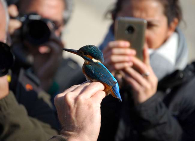 Parc Fluvial del Besòs