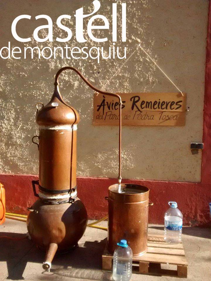 Àvies remeieres Associació Pedra Tosca