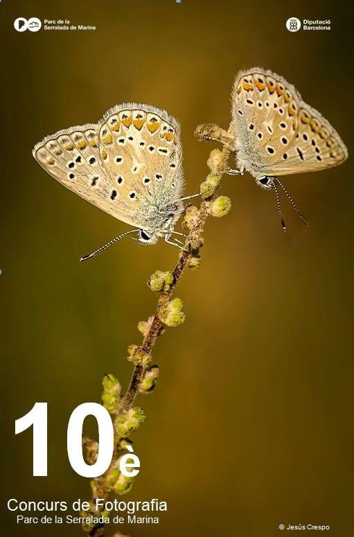 Fotografia de Jesús Crespo