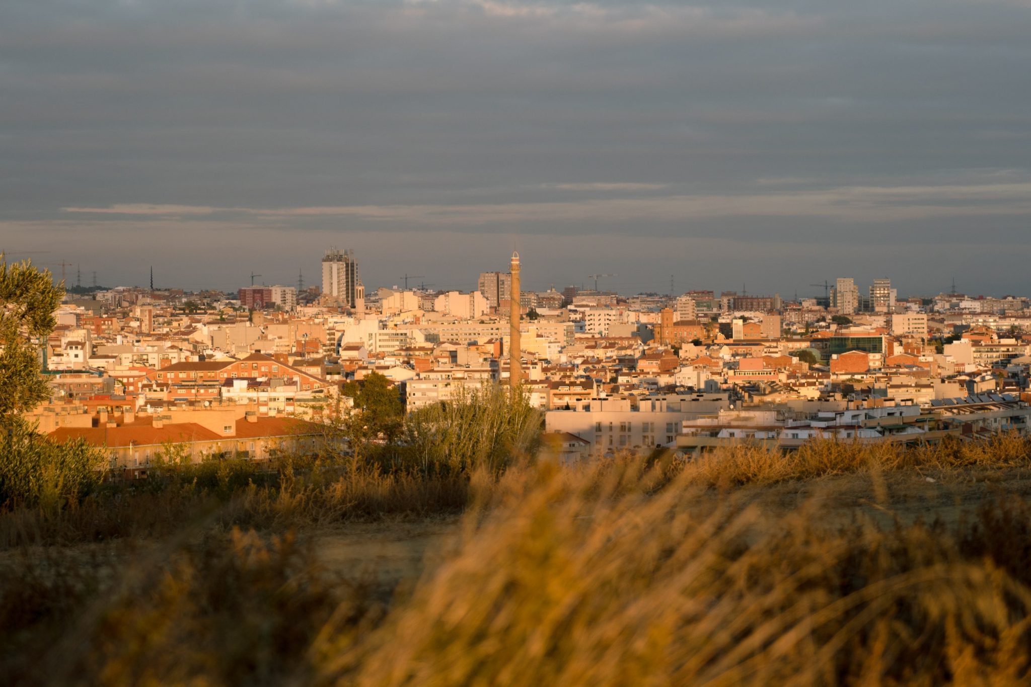 crisalidecomunicacio.com