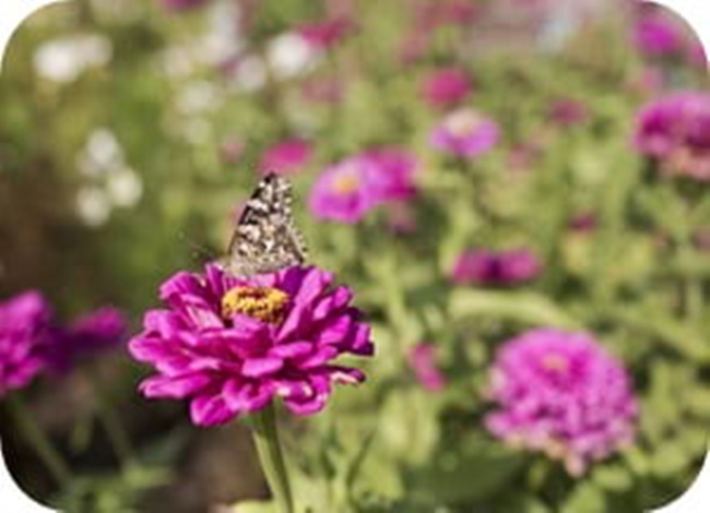 Biblioteca Can Baratau