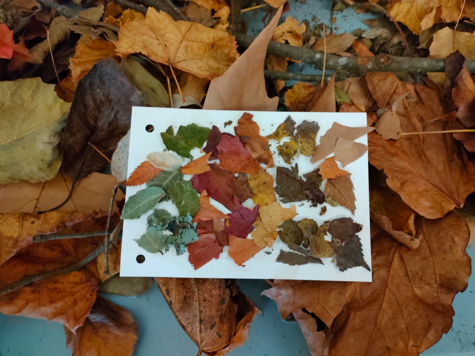 viladraueducació.com