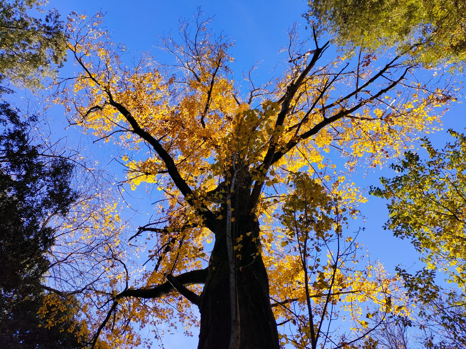 Viladraueducació.com