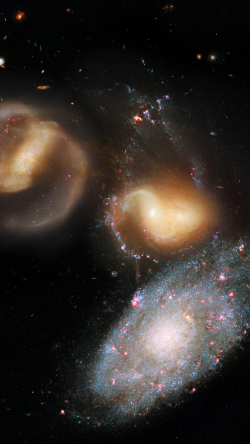 Museu de Ciències Naturals de Granollers