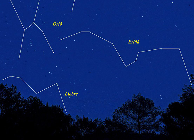 Xavi Lago / Arxiu CPNSC