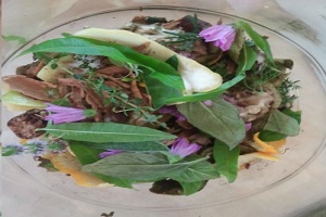 Taller de ratafia, Sandra Saura